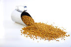 Ajwain Seed