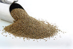 Cumin Seed