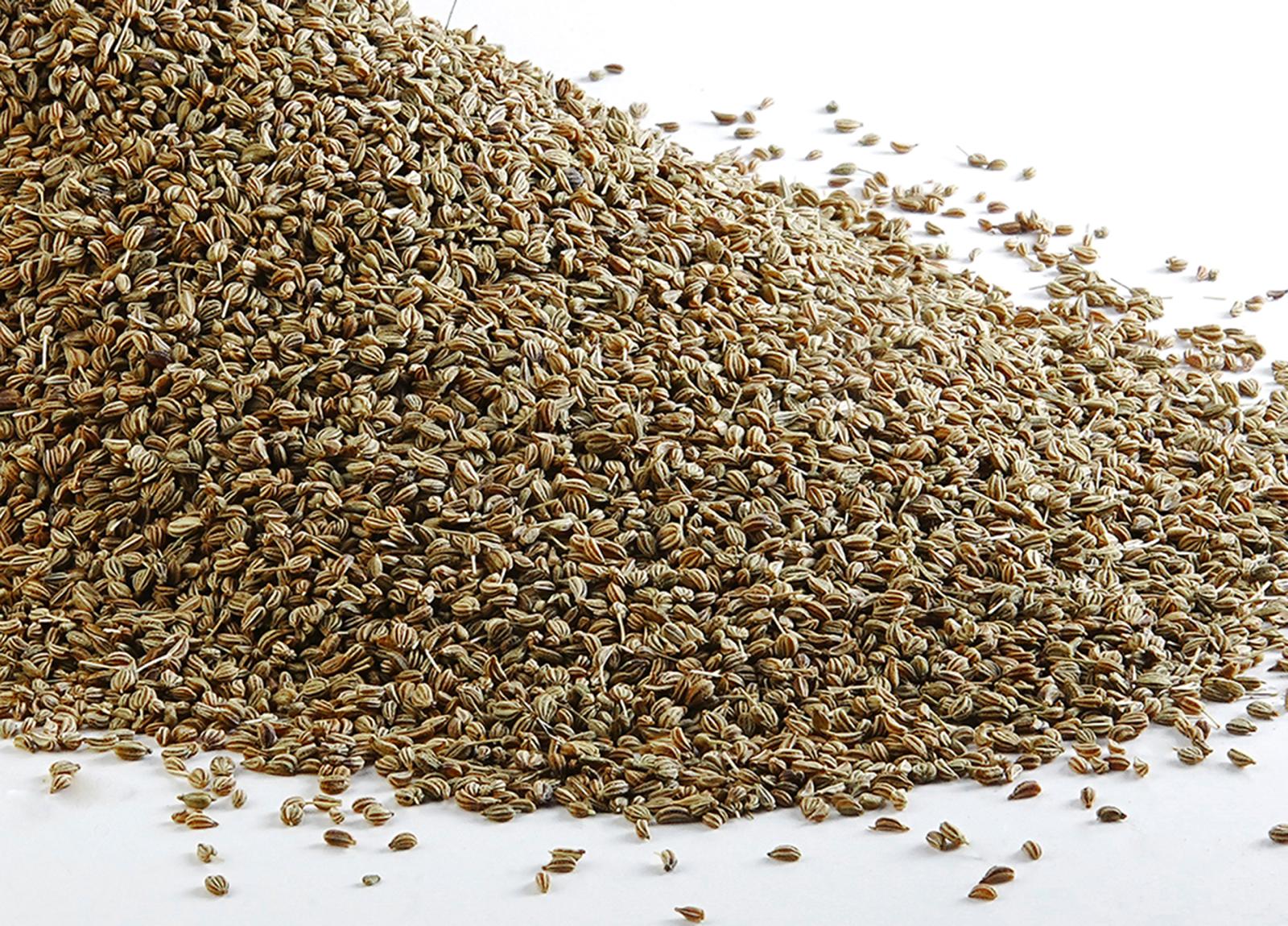 Cumin Seed